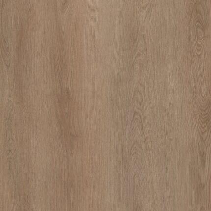 DBWD-201-PL / Canyon Oak Plank Dry-Back