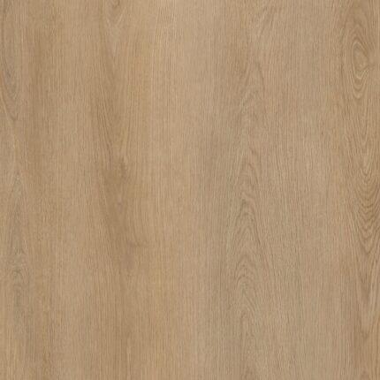DBWD-210-PL / Cambridge Oak Plank Dry-Back